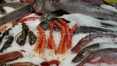 鱼类市场-各种鱼类和软体动物